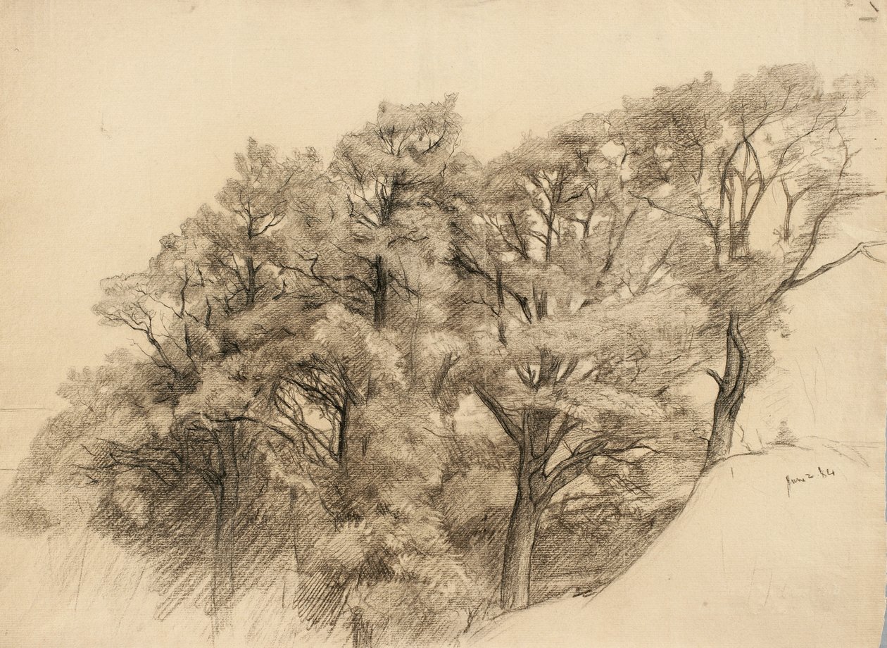 Landskap med träd, 1884 (kol på gulfärgat papper) av Samuel Isham