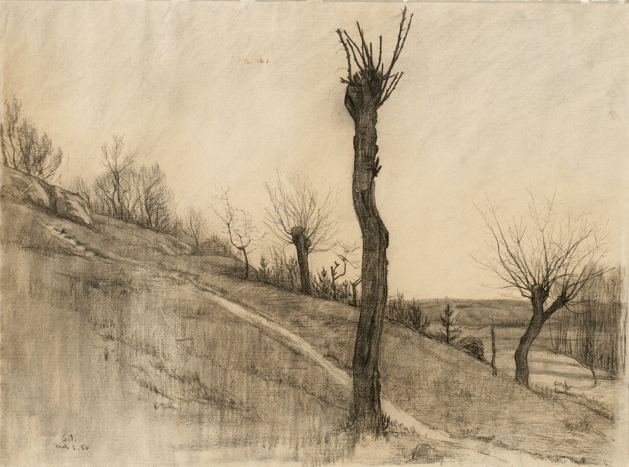 Senvinterlandskap, 1884 (kol på gulfärgat papper) av Samuel Isham