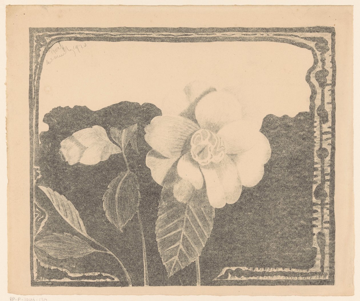Camellia, till vänster en blomma i knopp av Samuel Jessurun de Mesquita