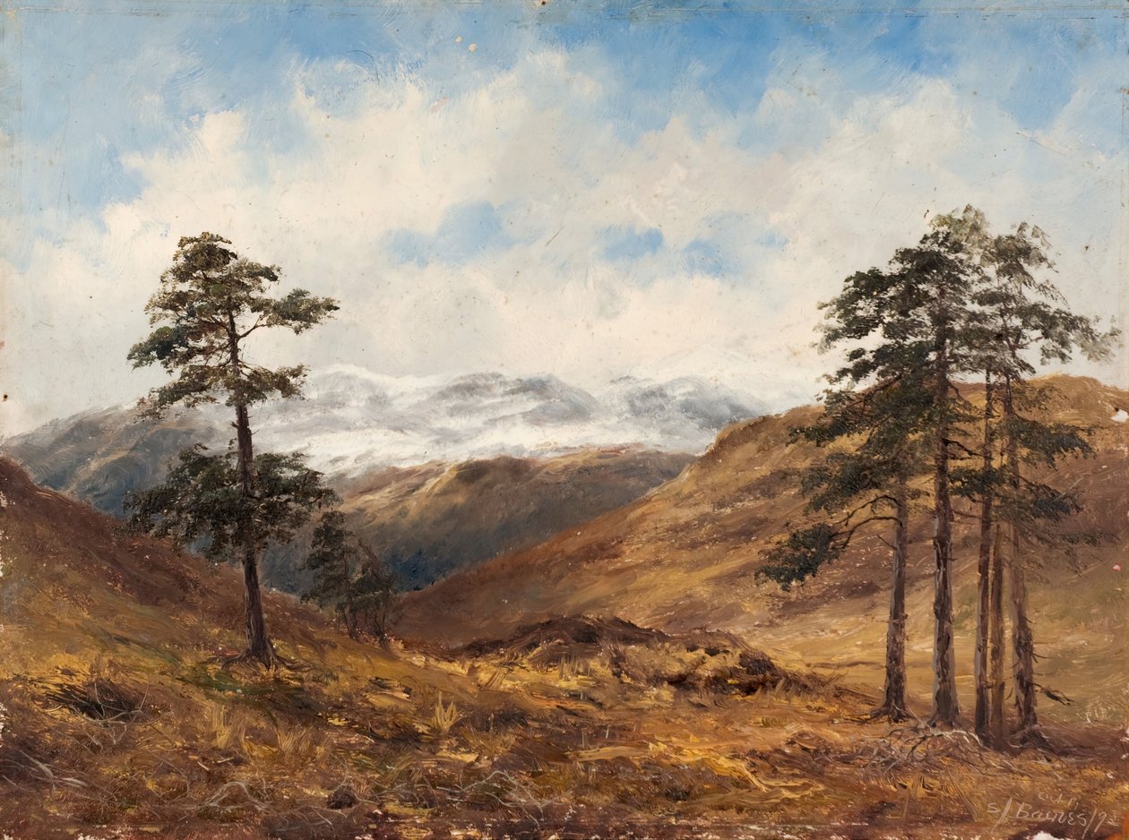 Nära Balmoral, 1893. av Samuel John Barnes