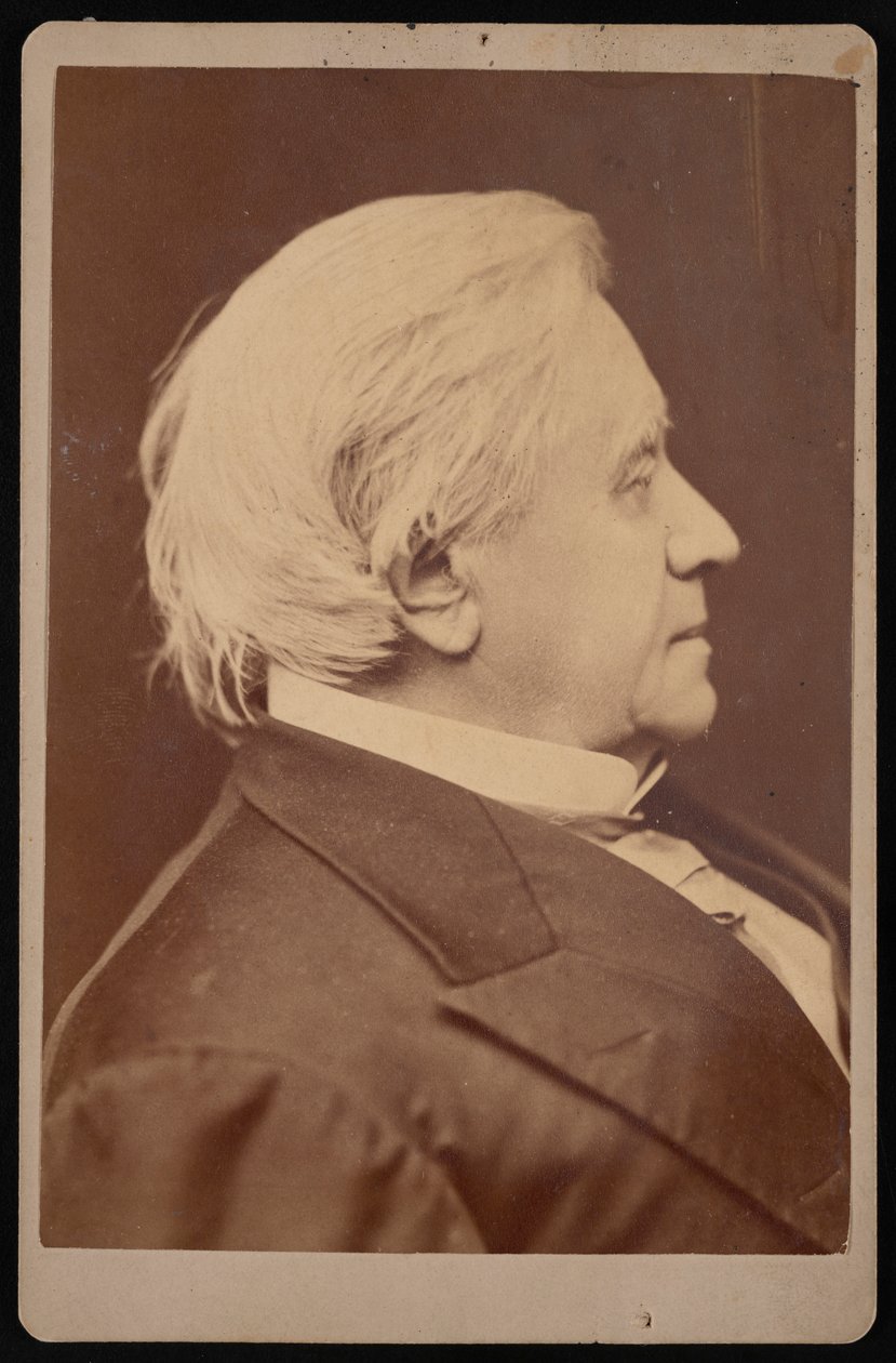 Porträtt av Joseph Henry 1797-1878, december 1875. av Samuel Montague Fassett
