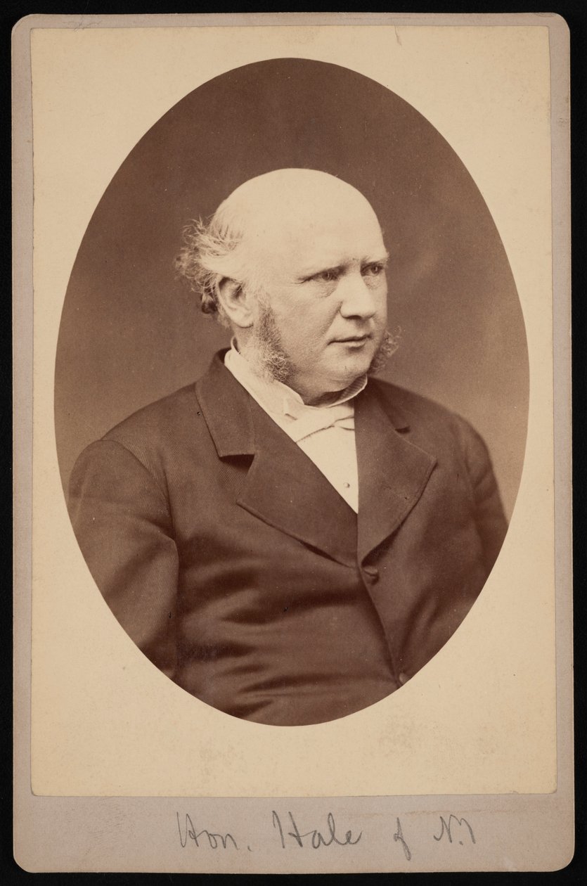 Porträtt av Robert Safford Hale 1822-1881, före 1881. av Samuel Montague Fassett