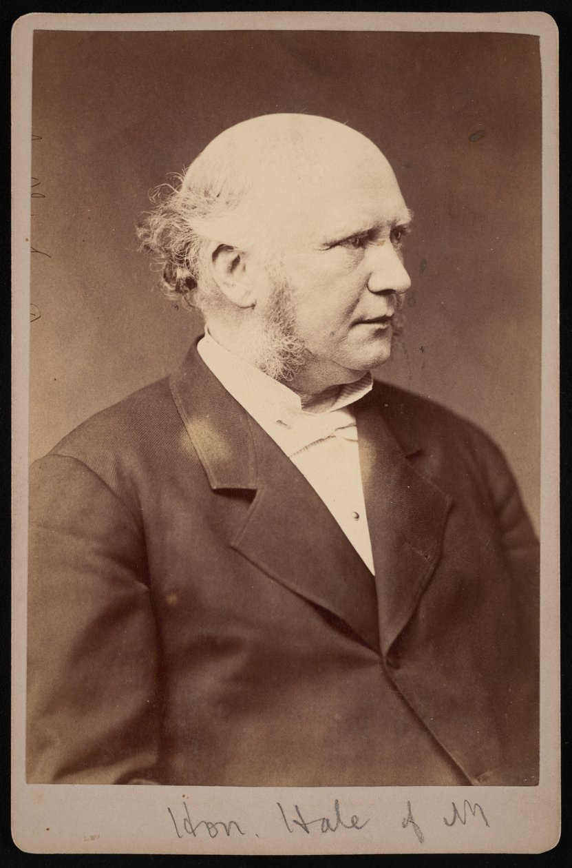 Porträtt av Robert Safford Hale 1822-1881, före 1881. av Samuel Montague Fassett