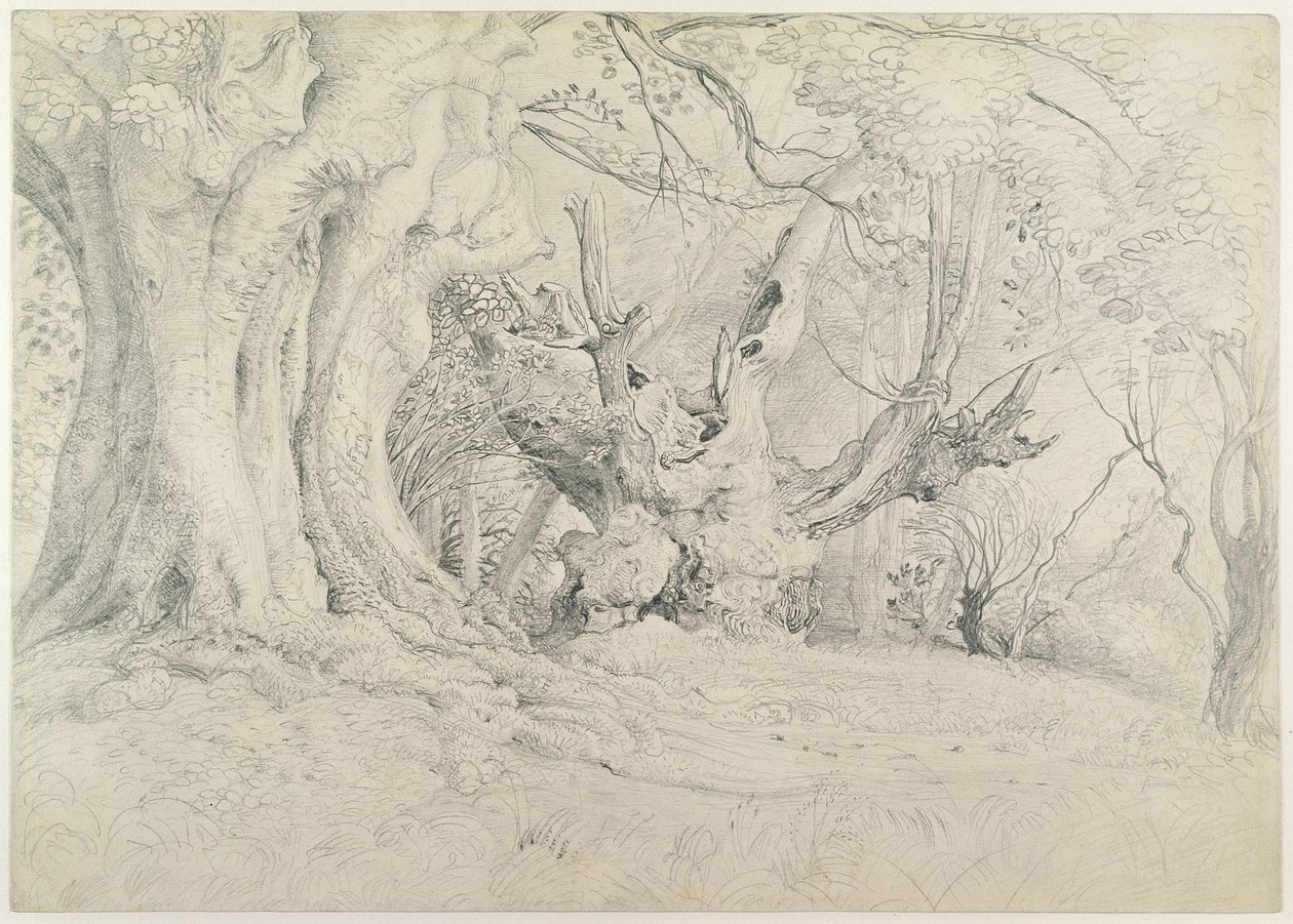 Ancient Trees, Lullingstone Park, 1828 (grafit på papper) av Samuel Palmer