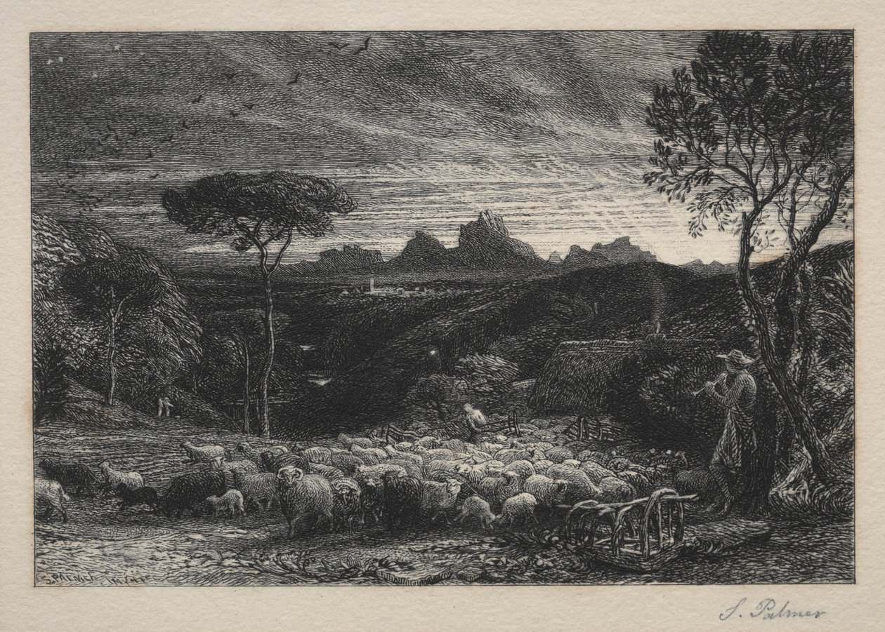 Öppna vecket, 1880. av Samuel Palmer