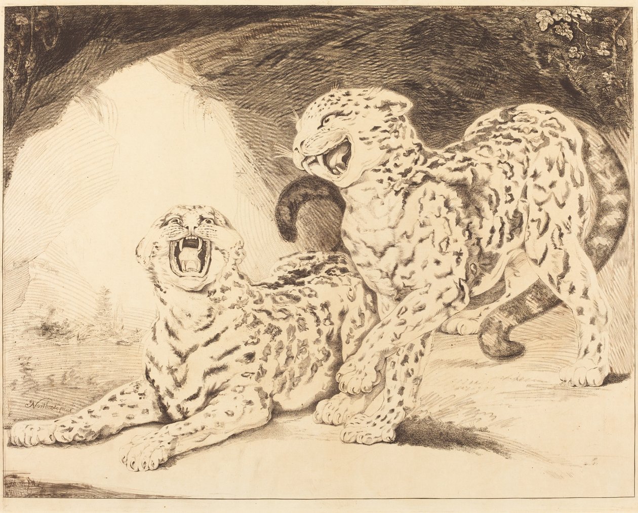 Leoparder av Samuel William Reynolds I after James Northcote