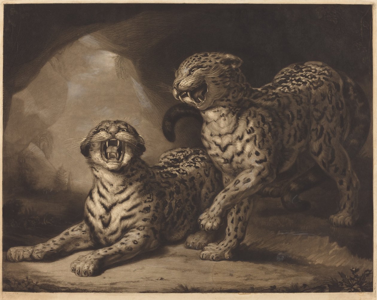 Leoparder av Samuel William Reynolds I after James Northcote