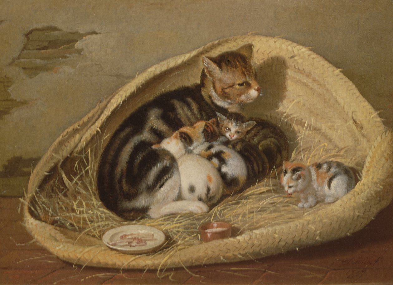 Katt med sina kattungar i en korg, 1797 av Samuel de Wilde