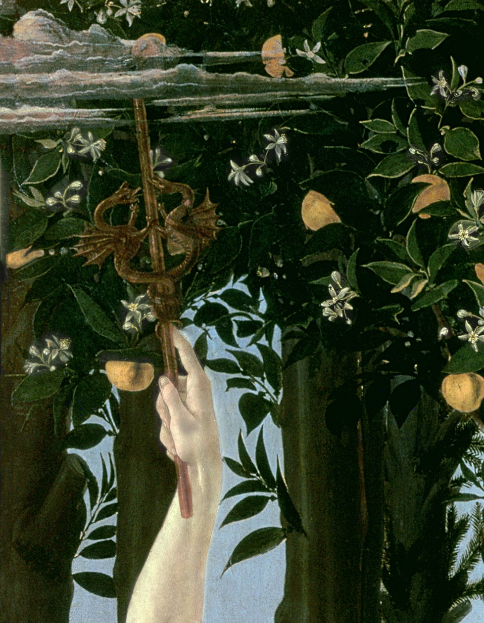 Primavera, ca 1478, tempera på panel detalj av 558 av Sandro Botticelli
