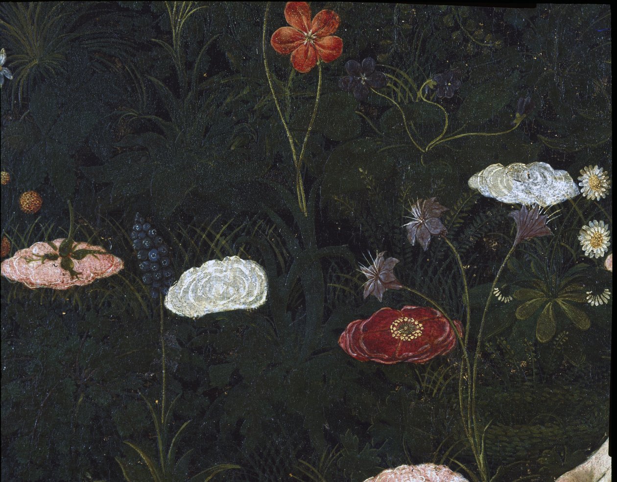 Primavera, ca 1478, tempera på panel detalj av 558 av Sandro Botticelli