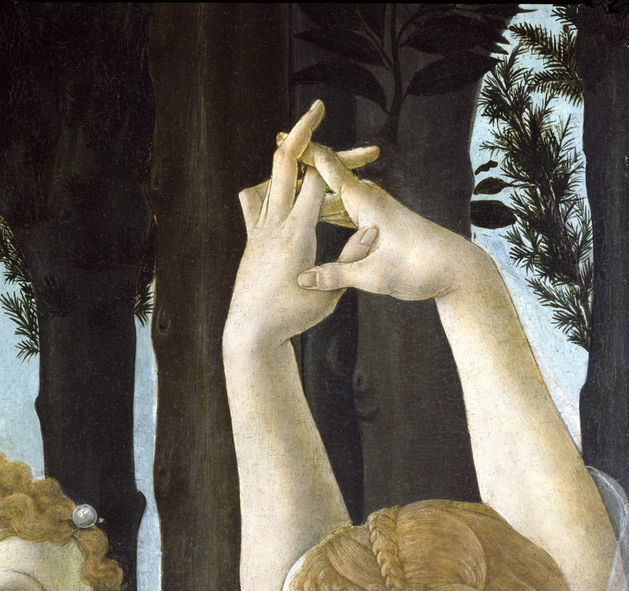 Primavera, ca 1478, tempera på panel detalj av 558 av Sandro Botticelli