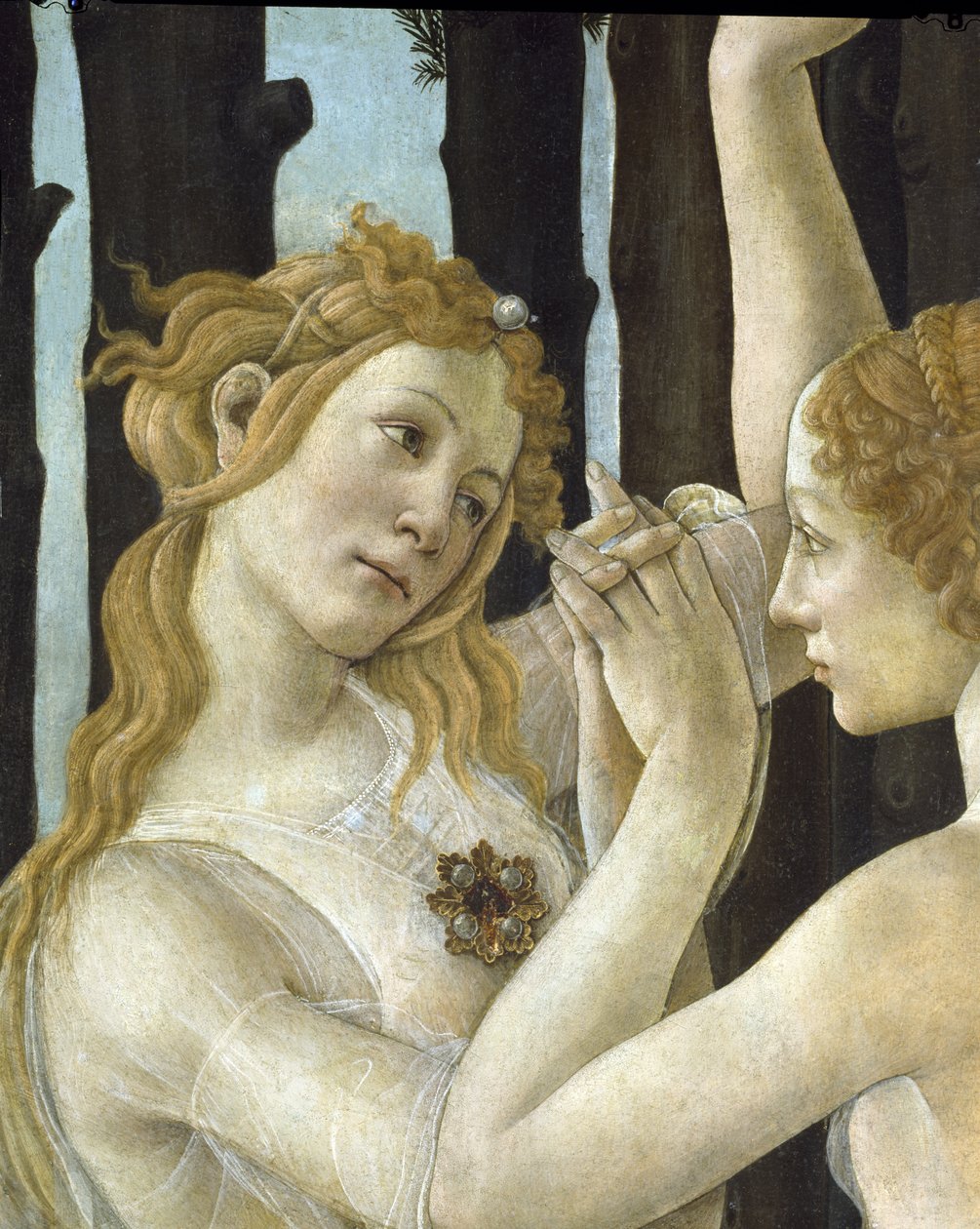 Primavera, ca 1478, tempera på panel detalj av 558 av Sandro Botticelli