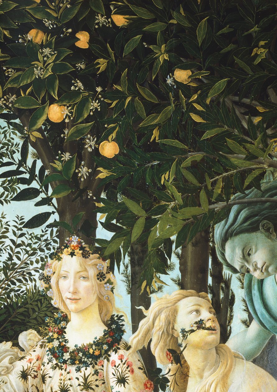 swedish av Sandro Botticelli