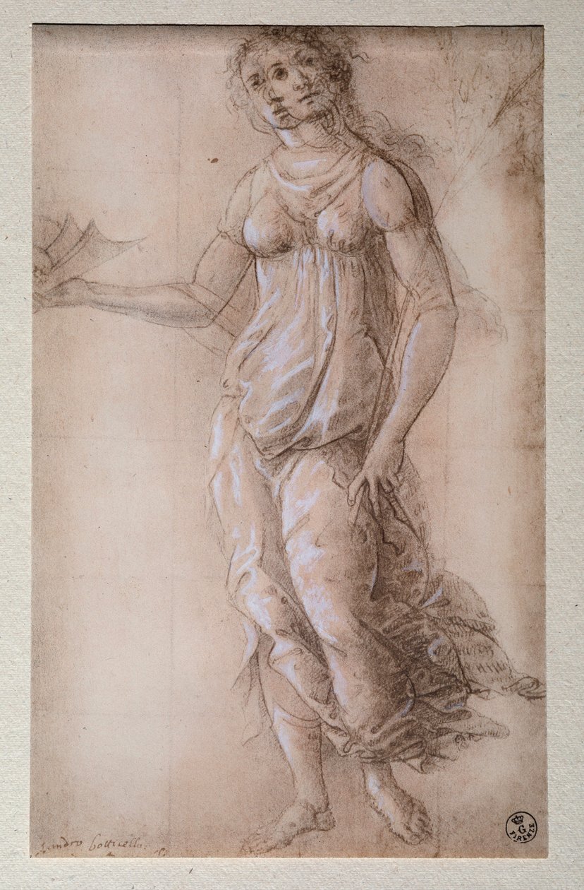Pallas (teckning, efter 1491) av Sandro Botticelli