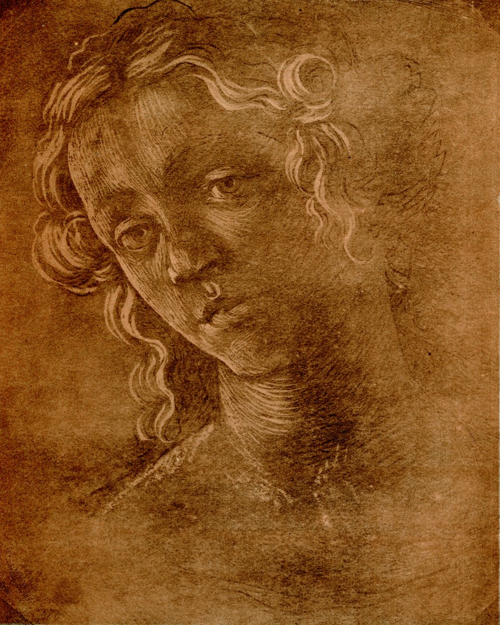 Kvinnligt huvud av Sandro Botticelli