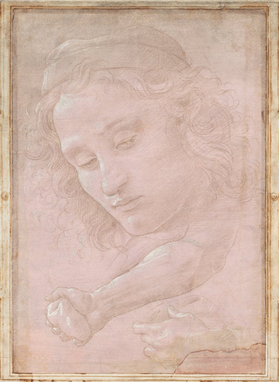 Chef för en ungdom som bär en keps; en höger underarm med handen som griper en sten; och en vänsterhand som håller ett draperi av Sandro Botticelli