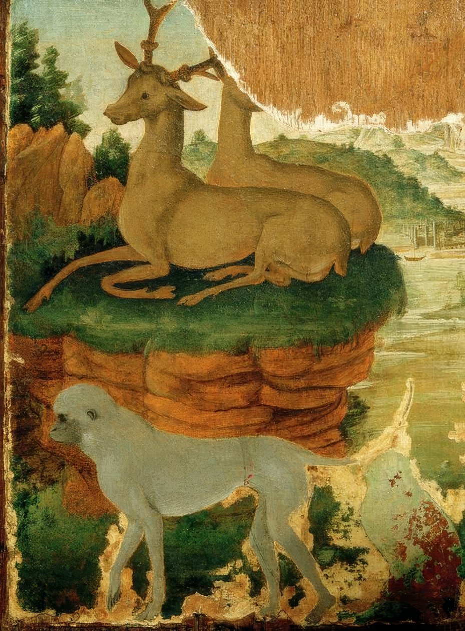 Landskap med råbockar och apor av Sandro Botticelli