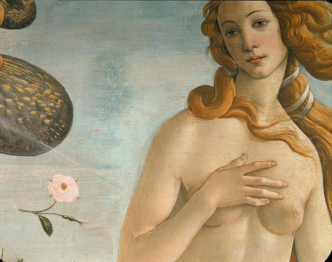 Venus födelse (Venus Anadyomene) av Sandro Botticelli