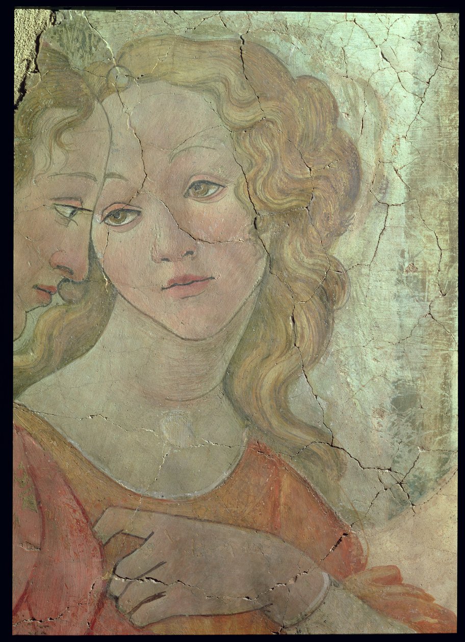 Venus and the Three Graces Offering Gifts to a Young Girl, detalj av en av gracerna, ca 1483 freskdetalj från 33760 se även 93891-2, 93894 av Sandro Botticelli