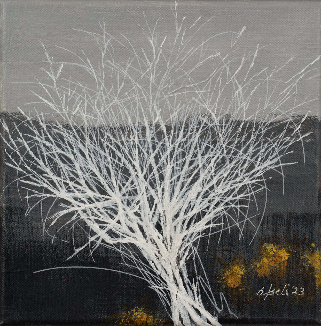  av Sandy Iseli