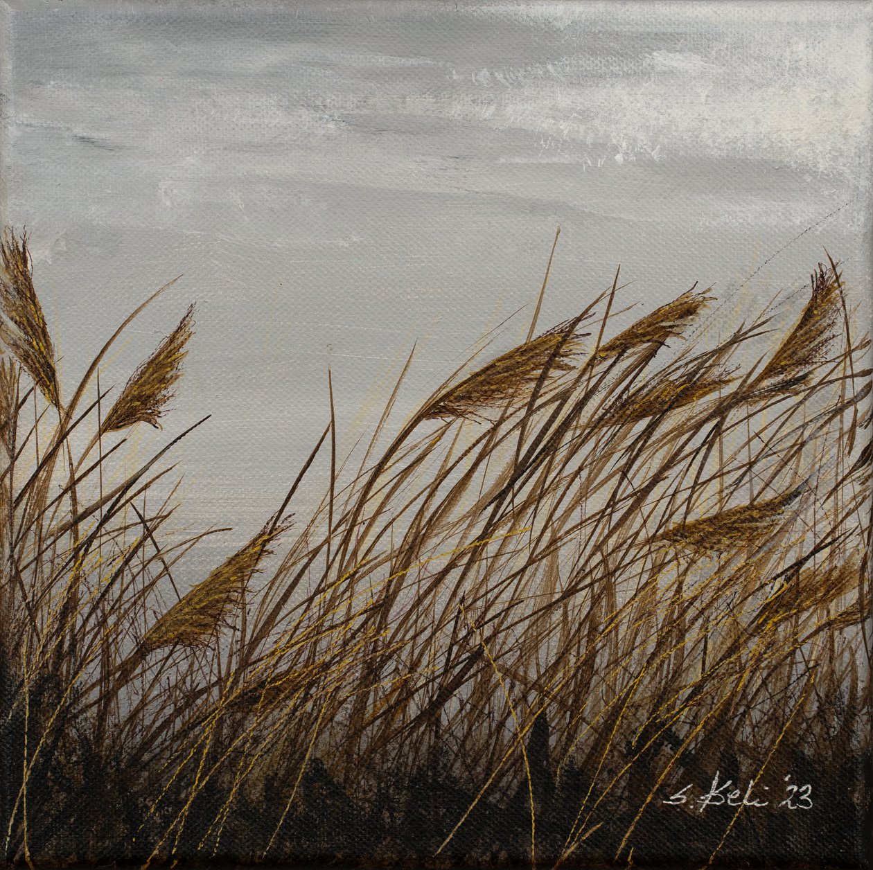  av Sandy Iseli