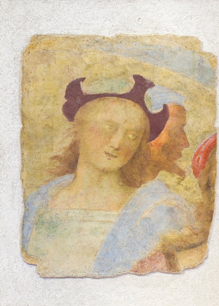 Ung man (fresk) av Sanzio of Urbino (attr. to) Raphael