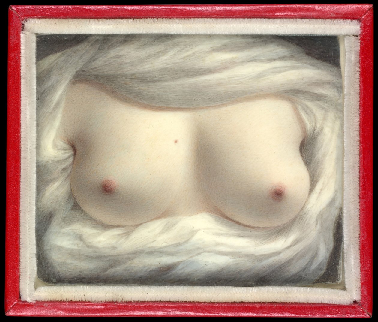 Beauty Revealed av Sarah Goodridge