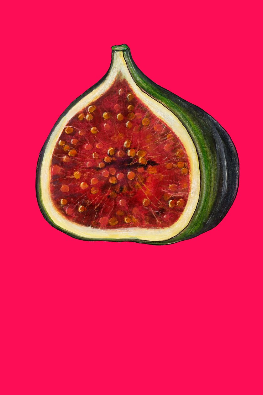 Fig, 2007 (olja och pastell på papper) av Sarah Thompson Engels