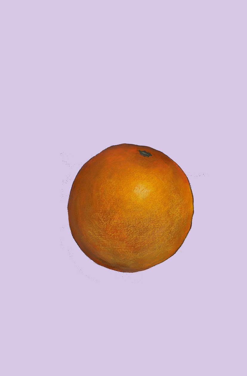 Orange, 2007 (olja och pastell på papper) av Sarah Thompson Engels