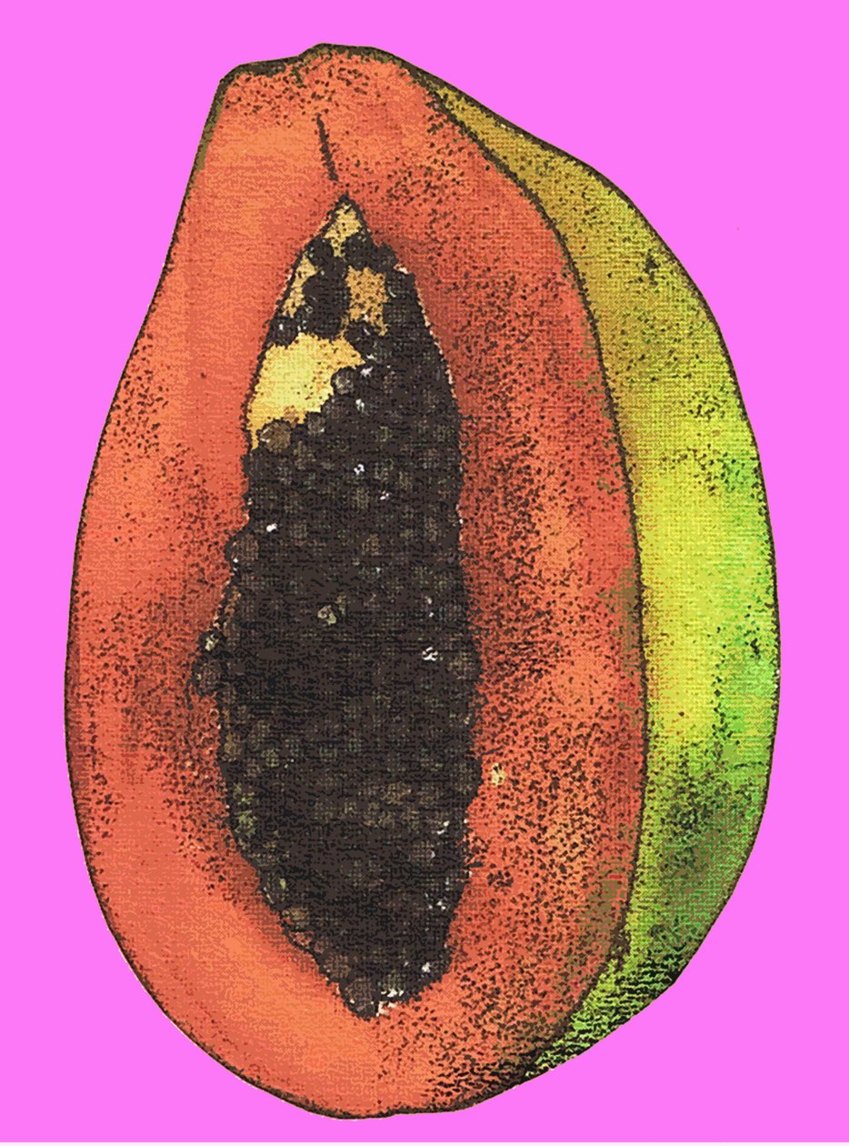 Papaya, 2009 (olja och bläck på papper) av Sarah Thompson Engels