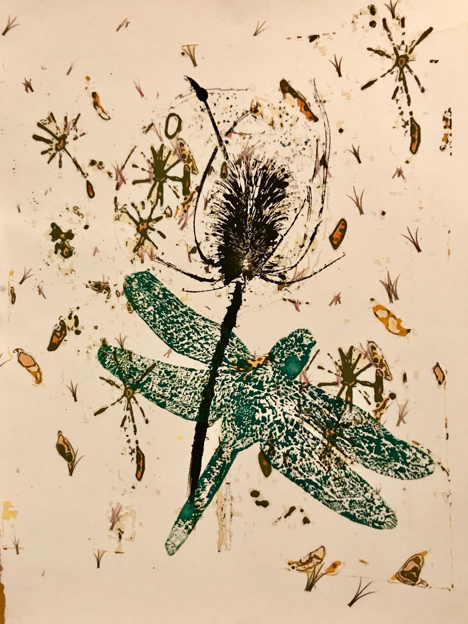 Teasel (monotryck på papper) av Sarah Thompson Engels
