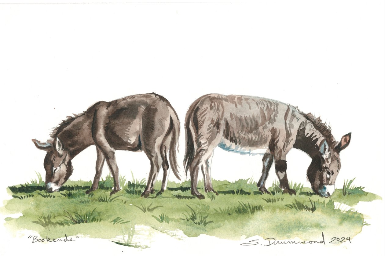 Bokstöd, 2024 (Akvarell på papper) av Sarah Drummond