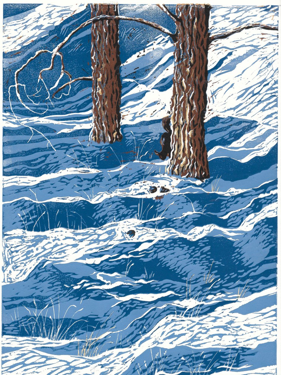 Snöfall under våren, 2016 (Linoleumsnitt) av Sarah Drummond