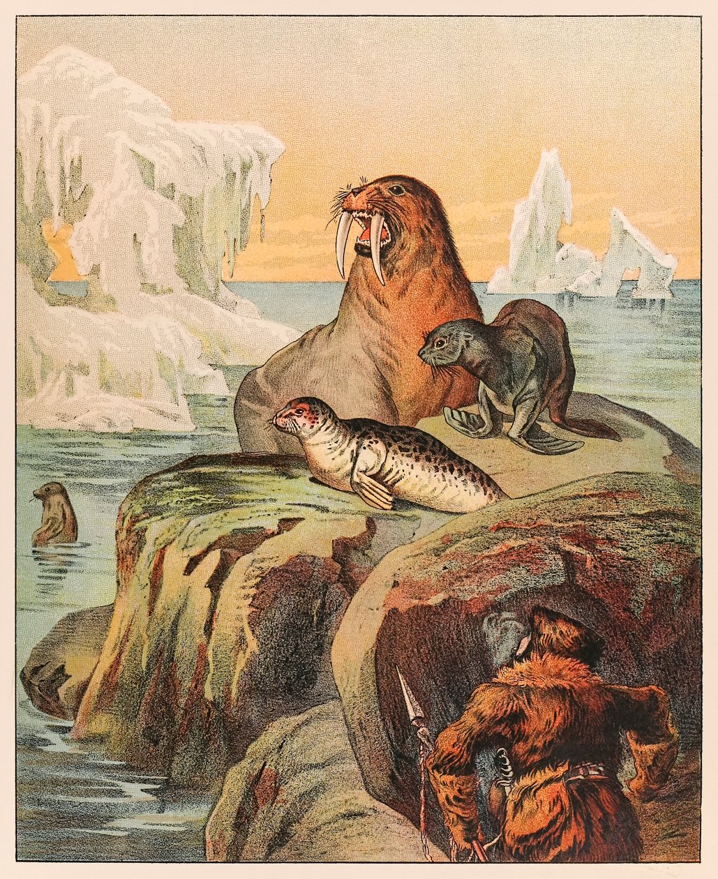 En eskimå jagar sälar och en valross, från P.T. Barnum