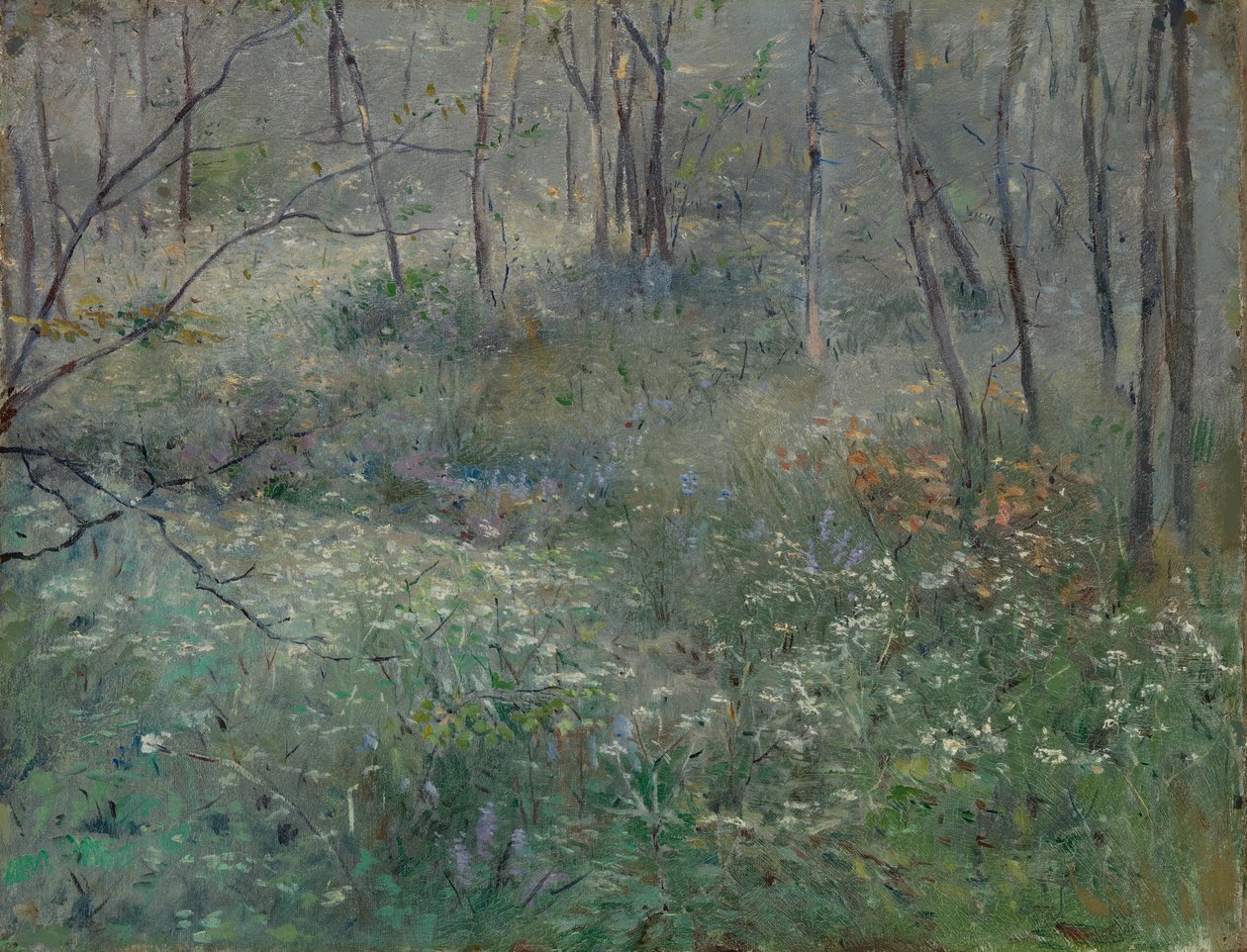 Vild persilja, 1900. av Sarah Paxton Ball Dodson