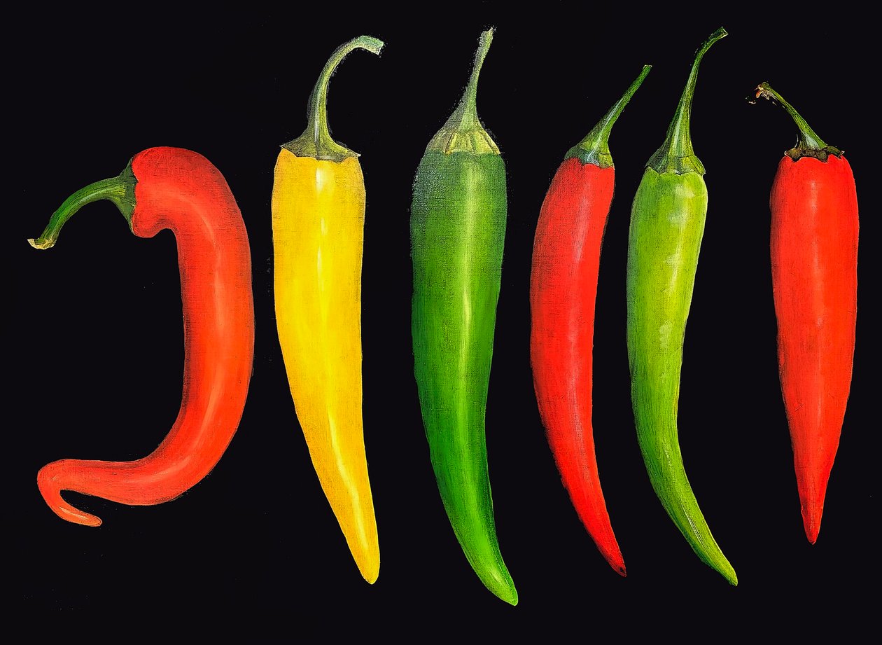 Five chillies, 2024 (olja på duk) av Sarah Thompson Engels