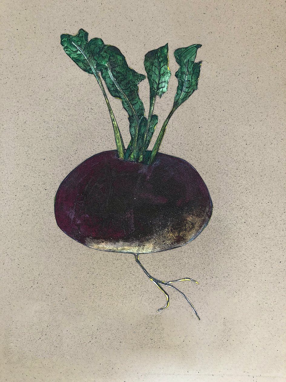 Turnip, 2024 (olja på duk) av Sarah Thompson Engels