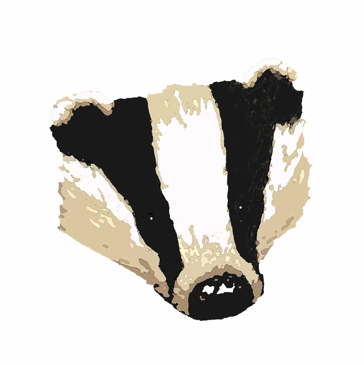 Badger, 2018, (digital teckning) av Sarah Thompson Engels