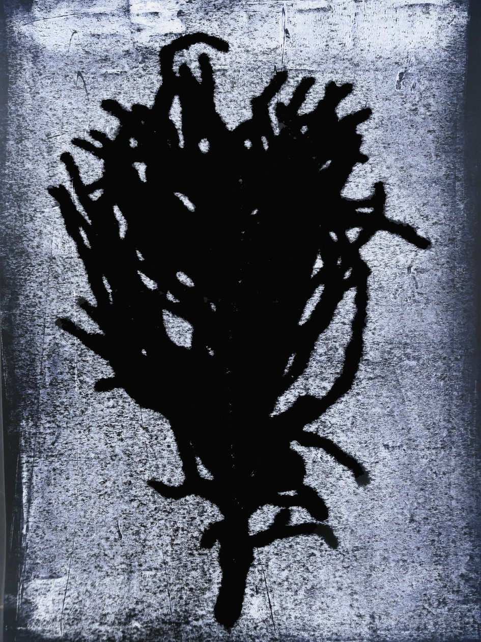 Black fern 2020 (monoprint) av Sarah Thompson Engels