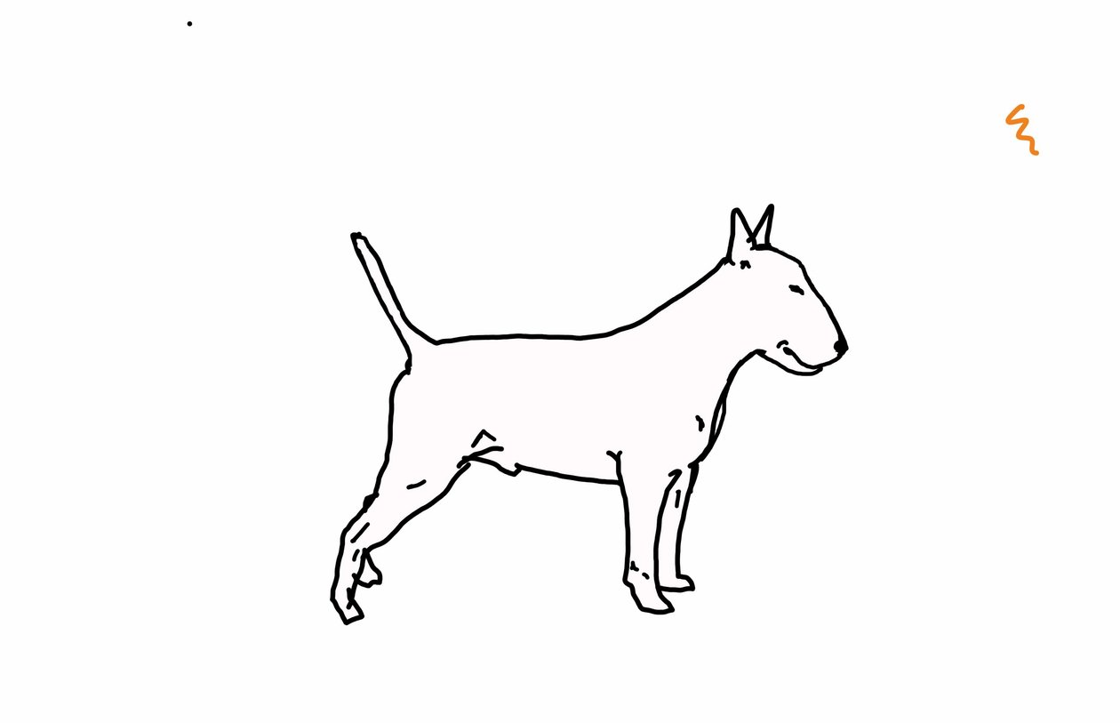 Bull terrier, 2018, (digital teckning) av Sarah Thompson Engels