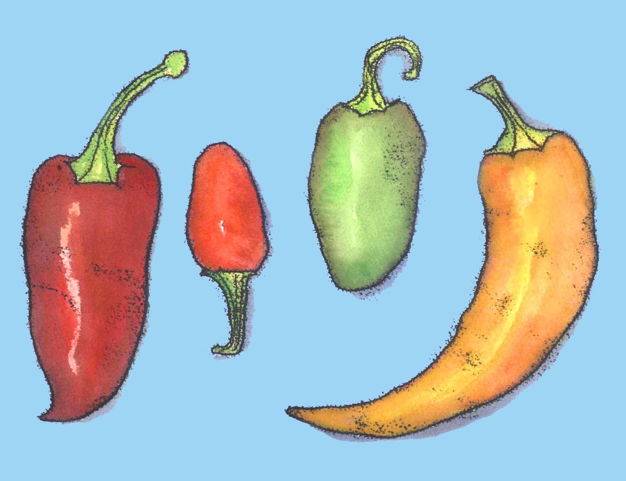 Chilipeppar, 2013, (monoprint) av Sarah Thompson Engels