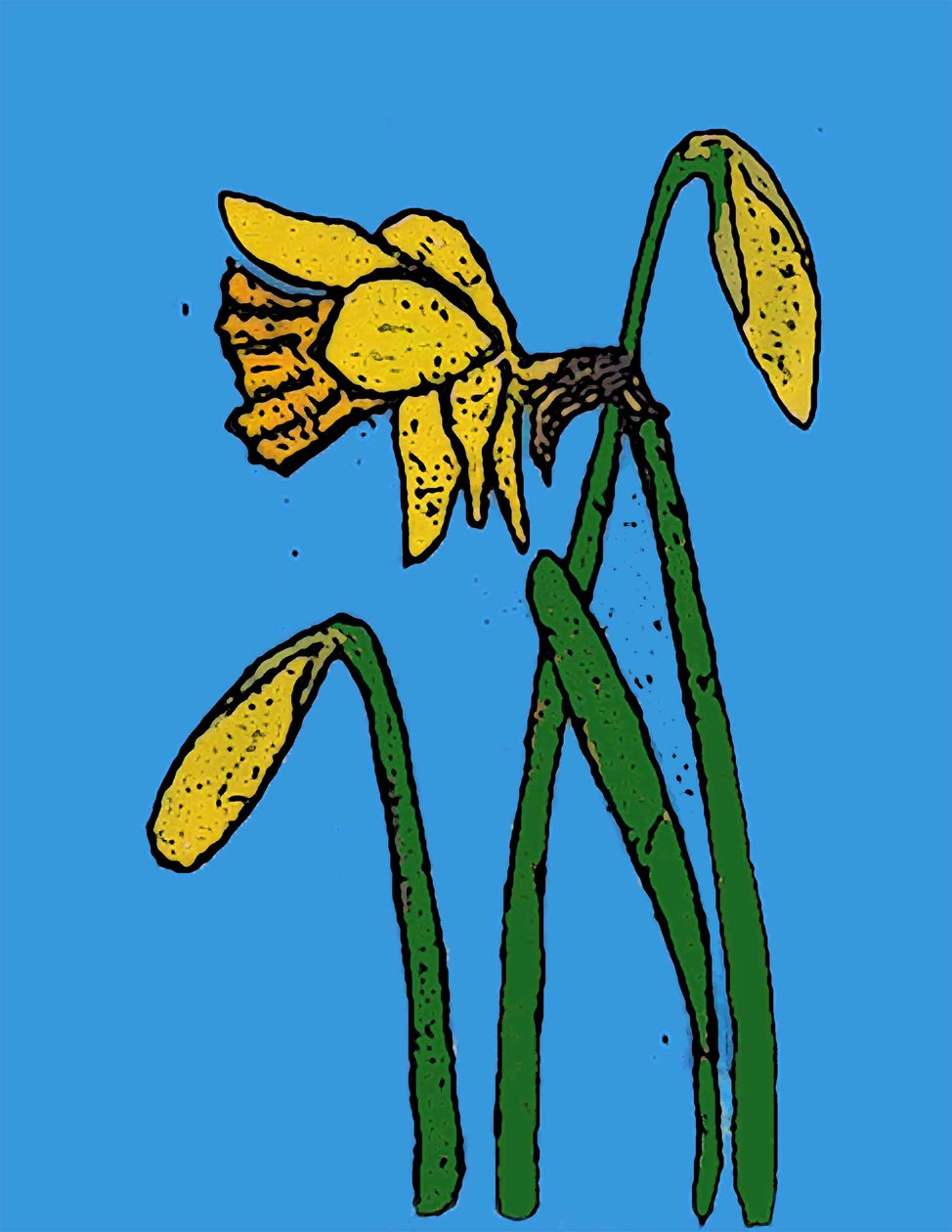 Påskliljor, 2015 (monotryck med bläck) av Sarah Thompson Engels