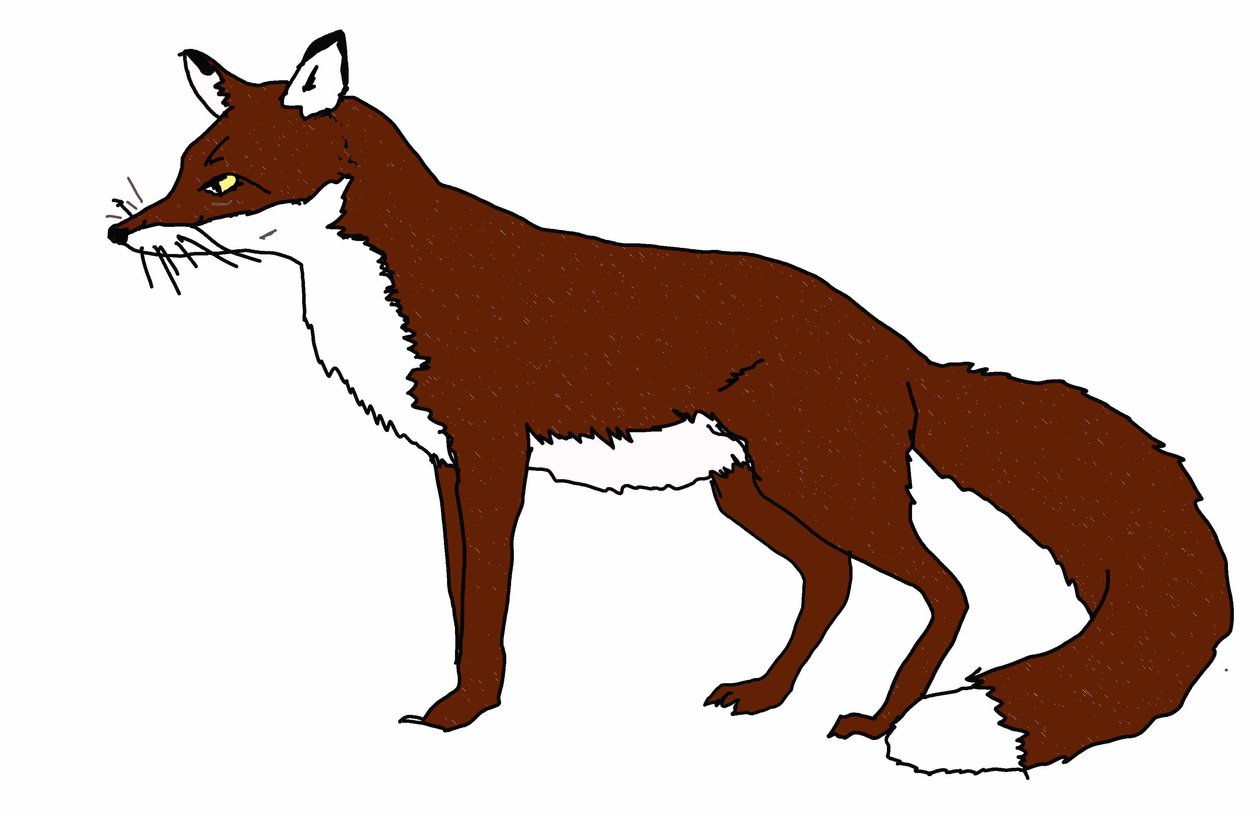 Fox, 2018, (digital ritning) av Sarah Thompson Engels