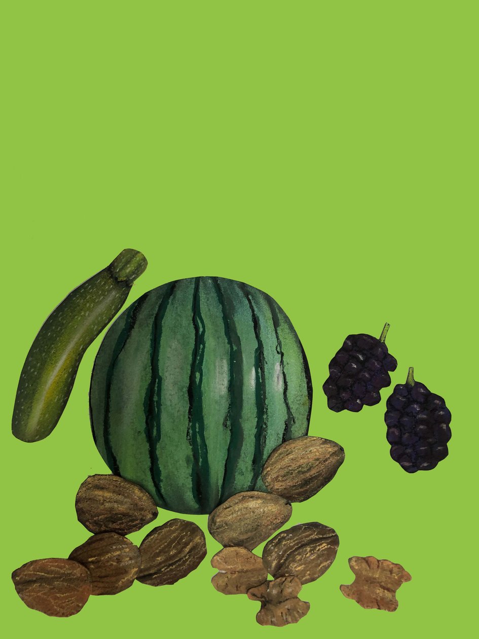 Frukt och grönt, 2020, utklipp av Sarah Thompson Engels