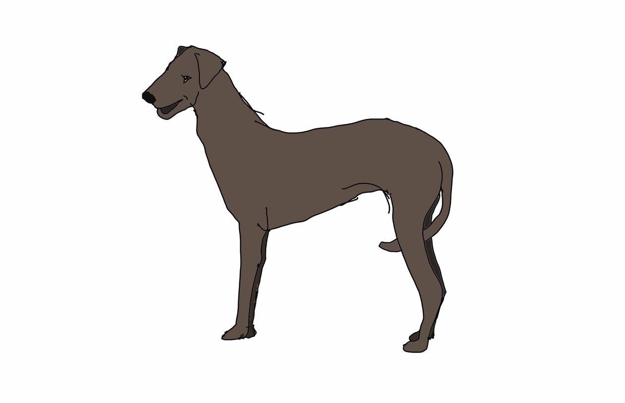 Hound, 2018, (digital teckning) av Sarah Thompson Engels