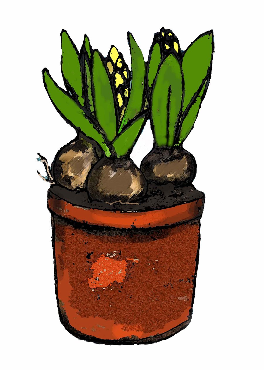 "Hyacinth in a pot" 2012 (monoprint/digital) av Sarah Thompson Engels