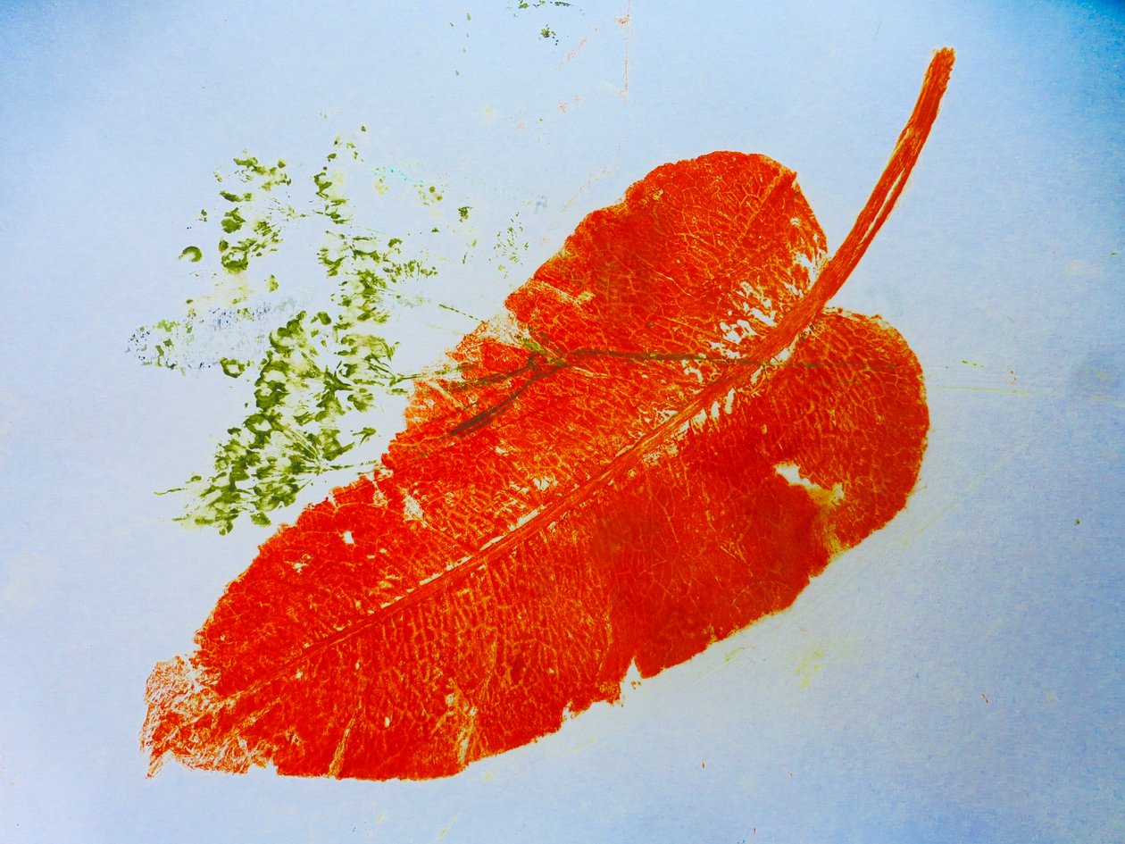 Apelsinblad (monotryck på papper) 2020 av Sarah Thompson Engels
