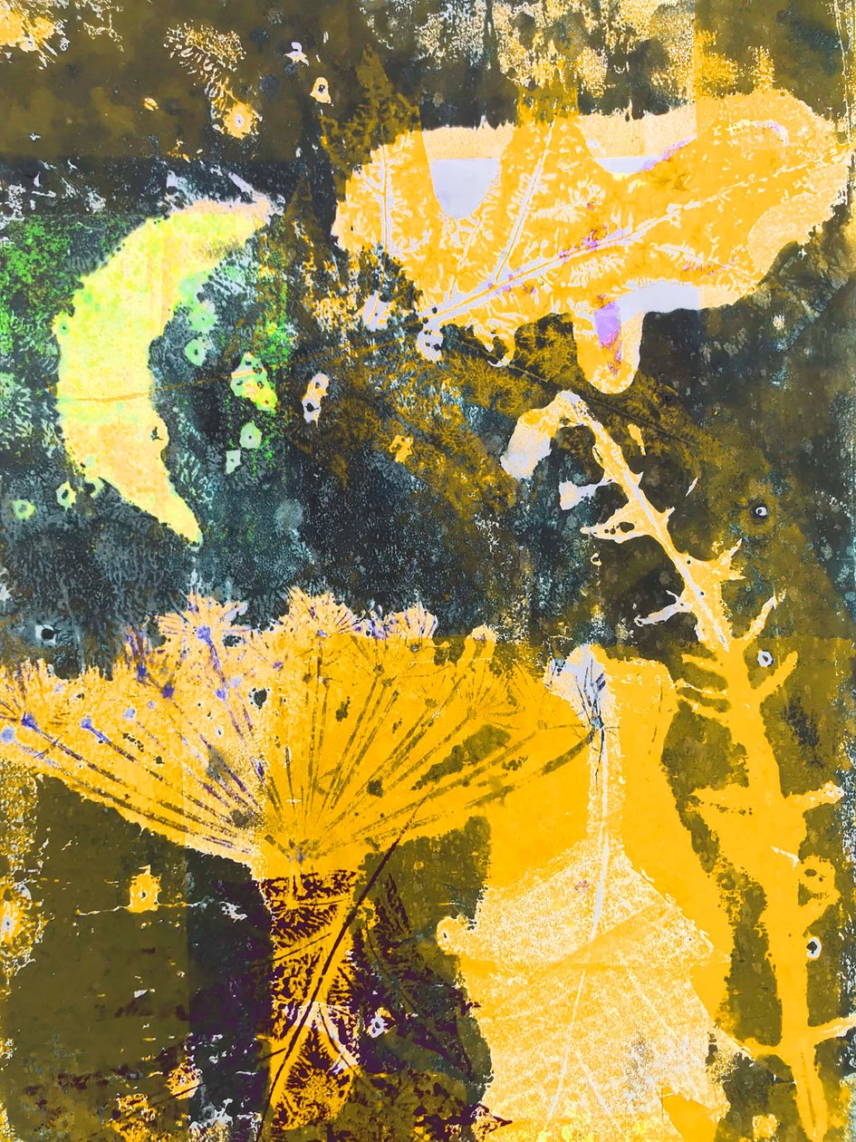 "Yellow moon" 2019 (monotryck) av Sarah Thompson Engels