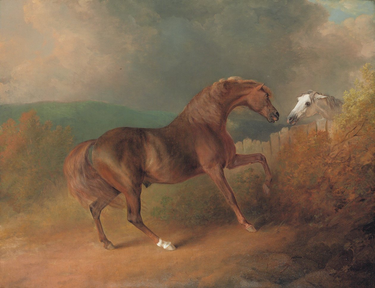 Överste Thorntons Jupiter, av Eclipse out of a Mare by Tartar, vid ett staket, med ett grått sto, på Thornville Royal, 1792 av Sawrey Gilpin