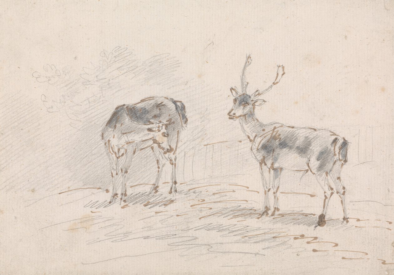 Doe och Buck av Sawrey Gilpin